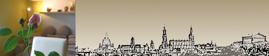 Ferienwohnung Dresden Torna