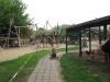 ferienwohnung-dresden-kinder-jugend-bauernhof-10