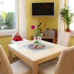 ferienwohnung-dresden_baby_05
